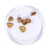 Image 2 : Lot of Gold Nuggets 3.46 grams Total Weight