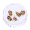 Image 2 : Lot of Gold Nuggets 3.55 Grams Total Weight