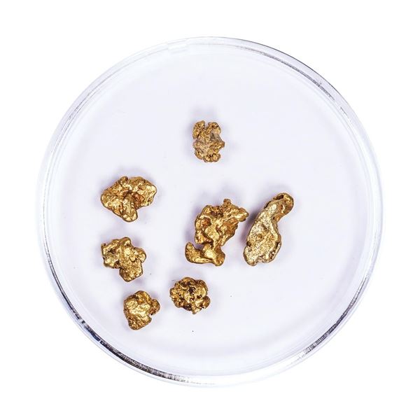 Lot of Gold Nuggets 3.15 grams Total Weight