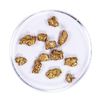 Lot of Gold Nuggets 5.55 grams Total Weight