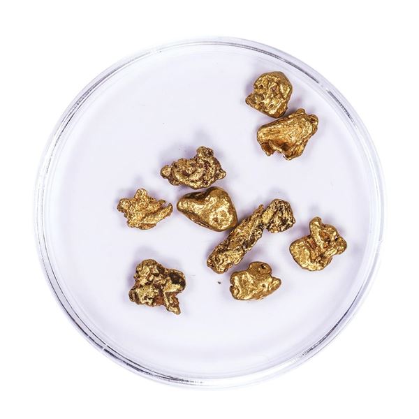Lot of Gold Nuggets 4.46 grams Total Weight