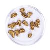 Image 2 : Lot of Gold Nuggets 7.36 grams Total Weight