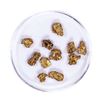 Image 1 : Lot of Gold Nuggets 4.88 grams Total Weight