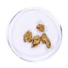 Image 1 : Lot of Gold Nuggets 2.48 Grams Total Weight