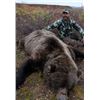 Image 2 : 8-Day Grizzly Hunt Donated by Mont Mahoney and Alaska Dall Sheep Guides, LLC