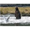 Image 2 : Sport Fishing and Wildlife Viewing Trip on Kodiak Island - Donated by Sam Rohrer 