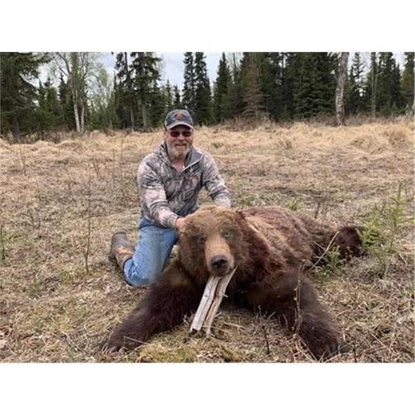 7-Day Spring Baited Brown Bear Hunt in unit 15C w/ RWS Guide Service - Donated By Richard Stewart an
