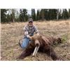 Image 1 : 7-Day Spring Baited Brown Bear Hunt in unit 15C w/ RWS Guide Service - Donated By Richard Stewart an