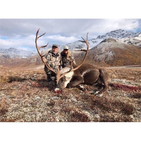 Governor's Caribou Tag