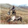 Image 4 : Governor's Caribou Tag
