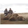 Image 3 : 10 Day Alaska Peninsula Brown Bear Hunt - Donated by Bruce Hallingsted and Becharof Lodge