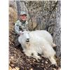 Image 5 : Wrangell/St Elias National Park 7 Day Mountain Goat Hunt - Donated by Paul