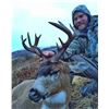Image 1 : 7 Day Deer Hunt - Donated by Derek Blake