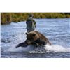 Image 16 : 5-day Tsiu River Fishing & Bear Viewing Trip for 1, donated by Fejes Guide Service, Ltd.