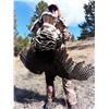 Image 1 : 3-Day Montana Merriam Turkey Hunt for 1 person - Donated by Majestic Montana Outfitters