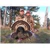 Image 2 : 3-Day Montana Merriam Turkey Hunt for 1 person - Donated by Majestic Montana Outfitters