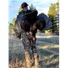 Image 5 : 3-Day Montana Merriam Turkey Hunt for 1 person - Donated by Majestic Montana Outfitters