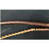 Image 11 : Two Old Bull Whips