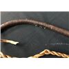 Image 12 : Two Old Bull Whips