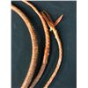 Image 5 : Two Old Bull Whips