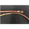 Image 7 : Two Old Bull Whips
