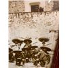 Image 7 : Vintage B&W Photo From The Mexican Revolution