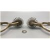 Image 3 : Fancy Gaucho Spurs