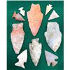 Image 2 : Nice Display of Plains Arrowheads