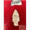 Image 10 : Nice Display of Plains Arrowheads
