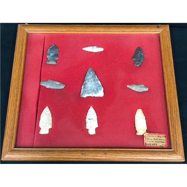 Nice Display of Plains Arrowheads