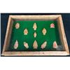 Image 1 : Nice Display of Plains Arrowheads