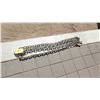 Image 1 : APPROXIMATELY 12 FEET OF CHAIN