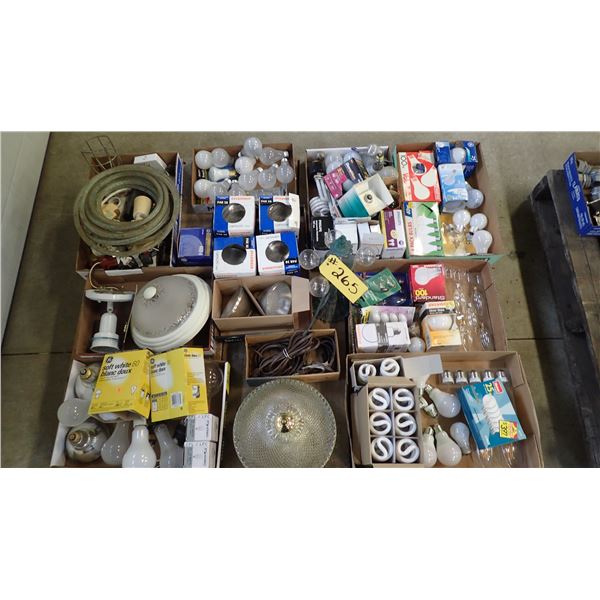 LIGHT FIXTURES & BULBS