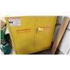Image 1 : FLAMMABLES CABINET
