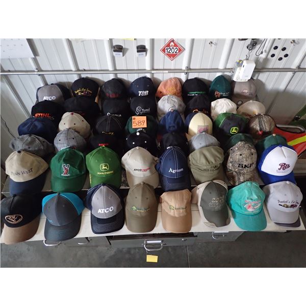 BASEBALL CAP COLLECTION (APPROX 46)
