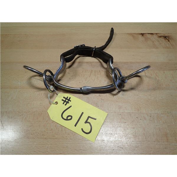 SPRINGTEEN BIT, 5" MOUTH PIECE