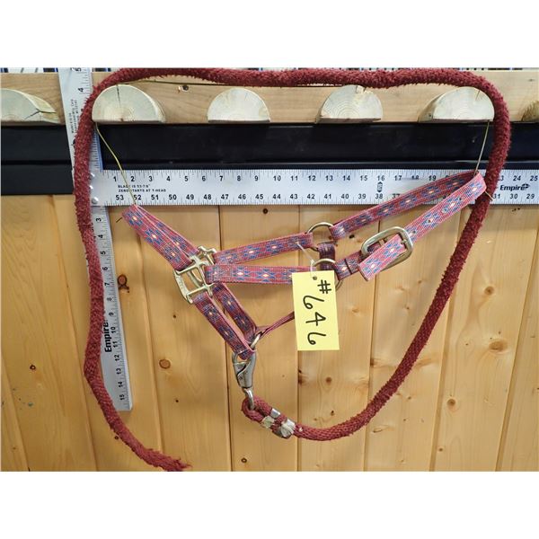 HALTER & LEAD SHANK
