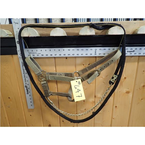 HALTER & LEAD SHANK
