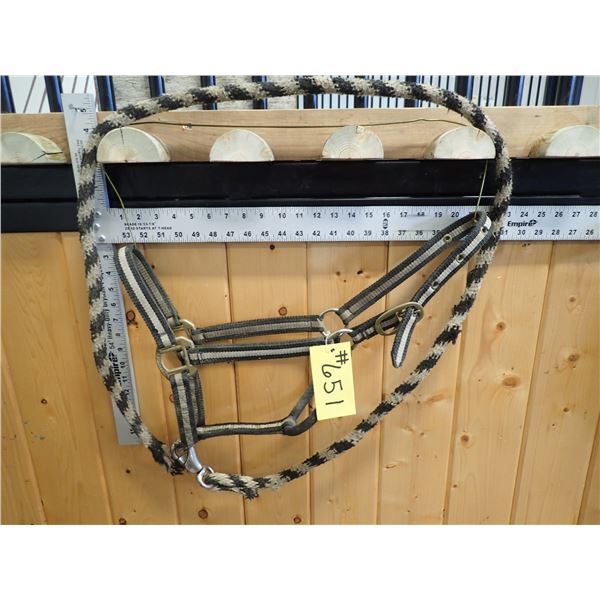 HALTER & LEAD SHANK