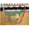 Image 1 : ROPE HALTER & LEAD SHANK