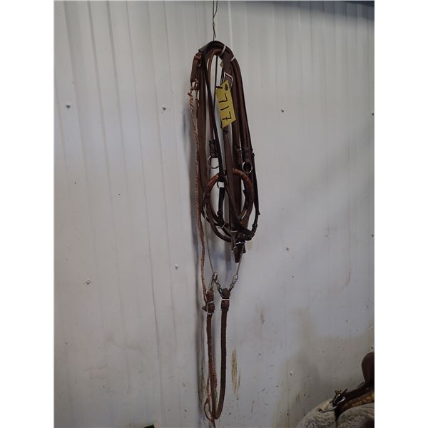 DRAW RAINS, RUNNING MARTINGALE, TIE DOWN, NOSE BAND CAVESON