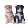 Image 1 : BORDER COLLIE MAGNETIC SP SET