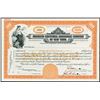 Image 1 : American Equitable Assurance Co., ca.1920-30's Specimen Stock Certificate.