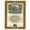 Image 1 : Mutual Life Insurance Co. of New York, 1900-1920 Specimen Bond