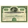 Image 1 : Southern Surety Co. Of New York 1930 I/U Stock Certificate