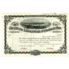 Image 1 : Citizens National Bank of Cincinnati, Ohio, 1900-20 Specimen Stock Certificate