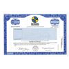 Image 1 : Network Solutions, Inc. 1999 Specimen Stock Certificate