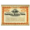 Image 1 : California Mineral Water Co. 1907 Specimen Stock Certificate