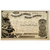 Image 1 : Tuolumne County Water Co. 1856 I/U Stock Certificate
