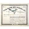 Image 1 : Blue Jay Mining Co. 1896 I/U Stock Certificate